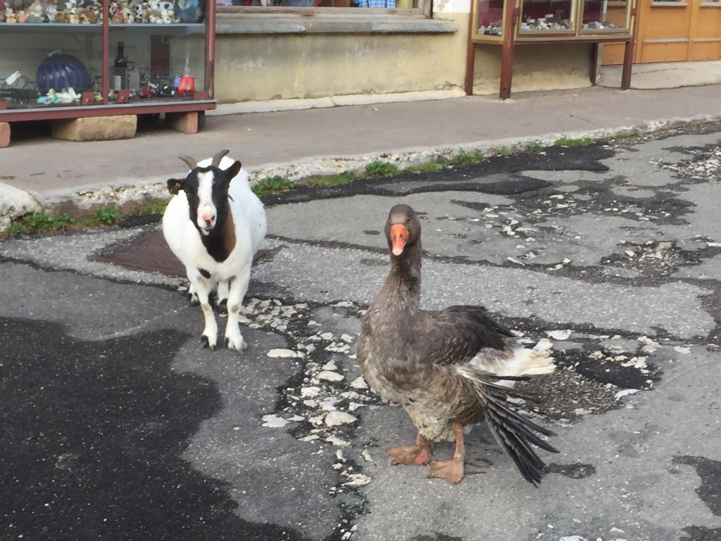 The Man With Rubber Sand Shoes 