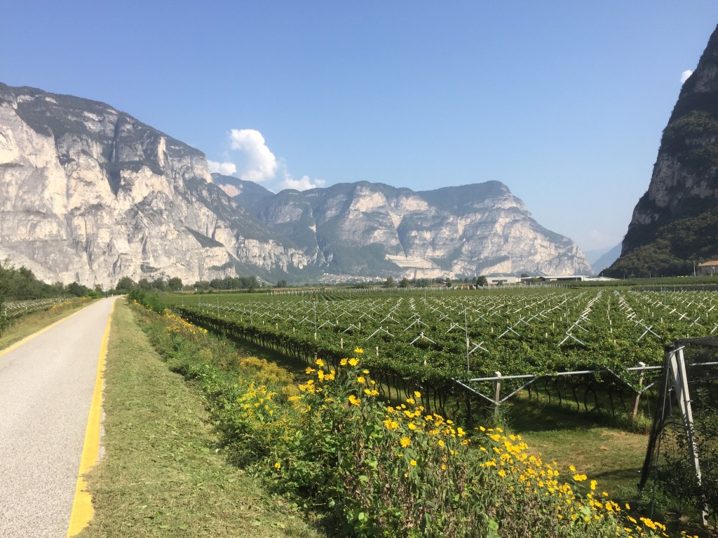 A maestro of&nbsp;skiing!