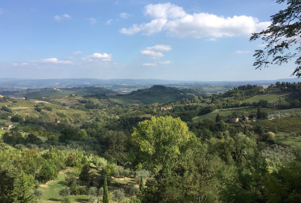 The enchanting forests of Tuscany