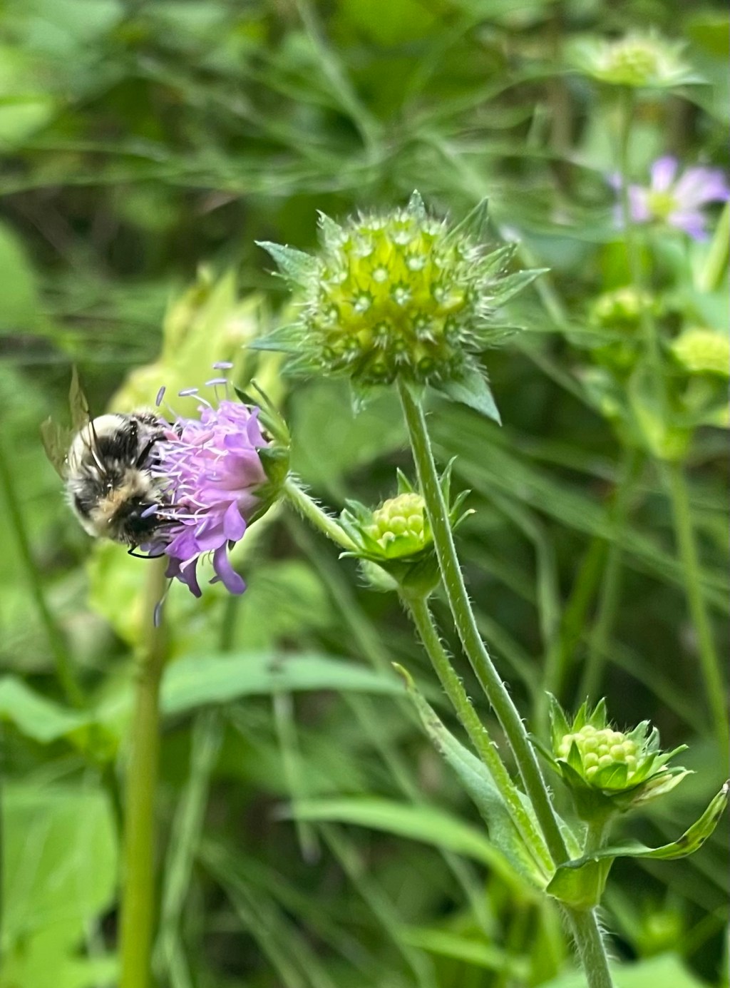 Messing with the Gods