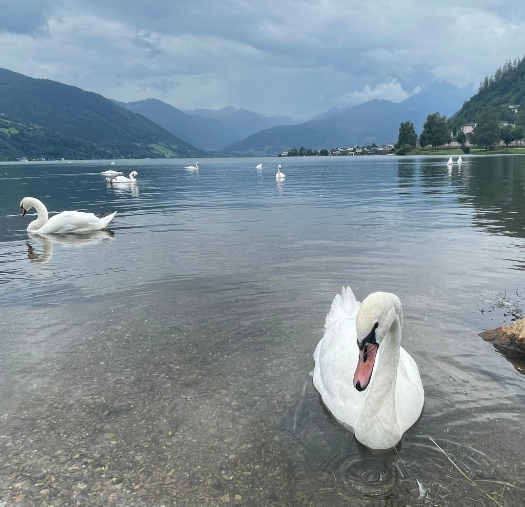 Transition day and big falls