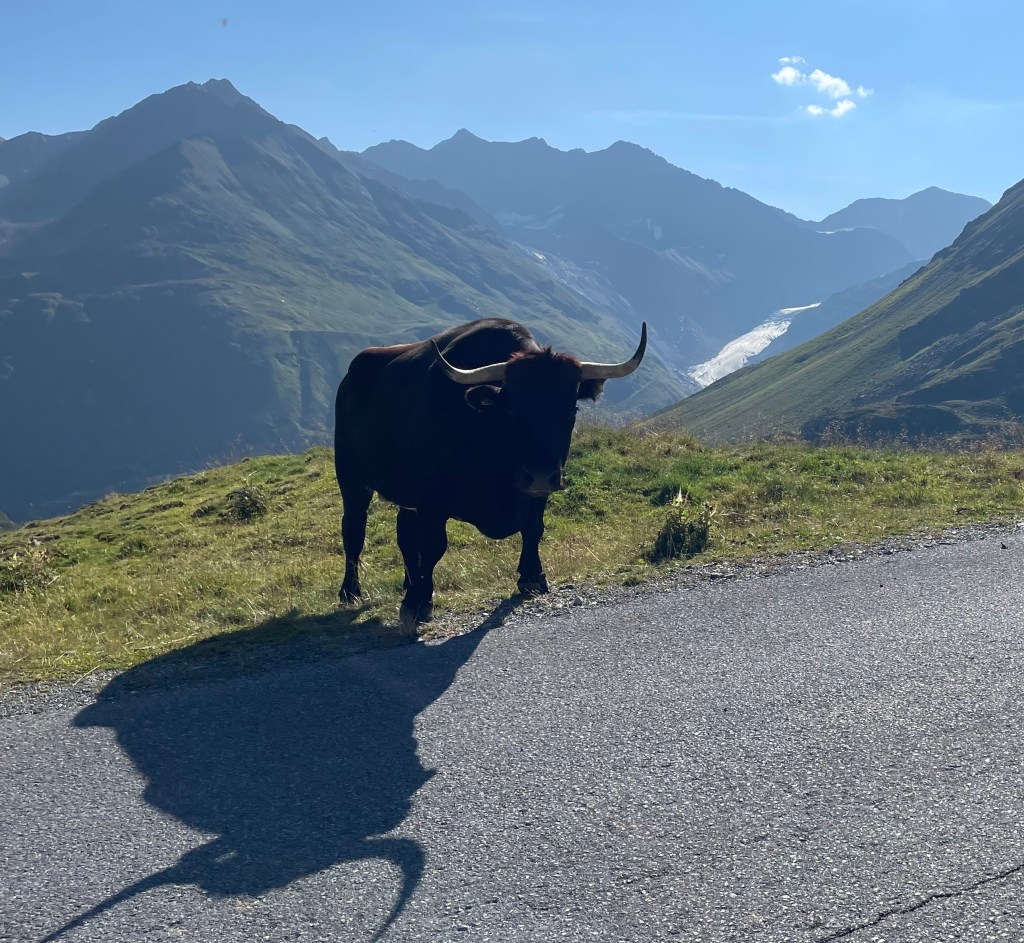 Kauntertaler Gletscherstraße