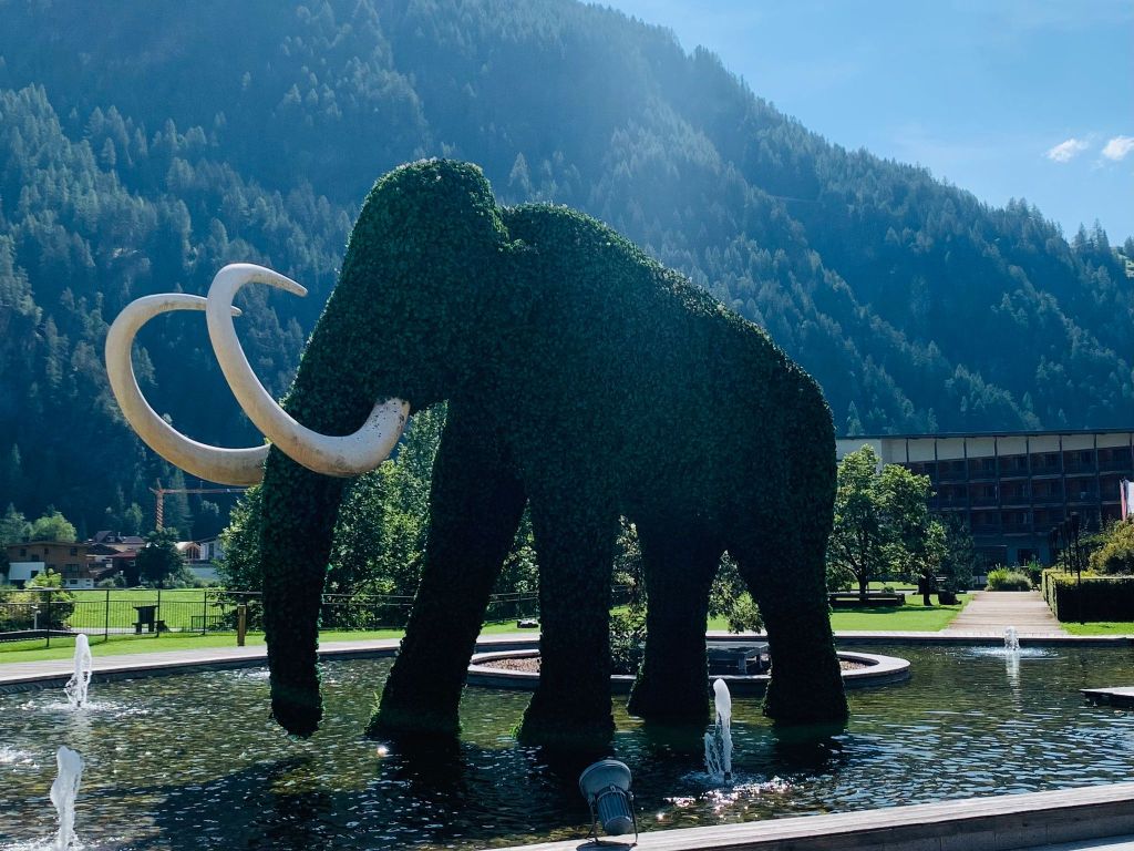 Hanging out in spa country